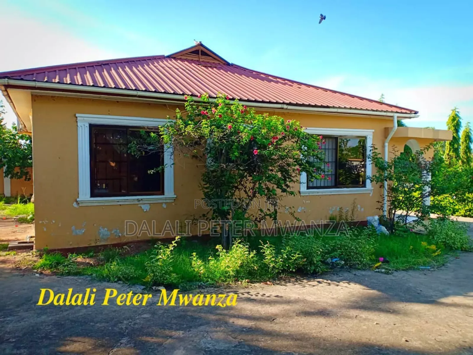 3bdrm House in Kiseke, Ilemela for rent in Ilemela