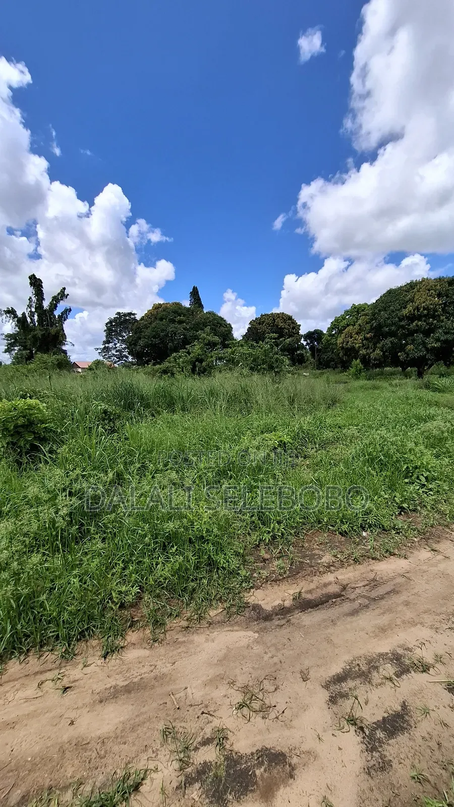 4hecter We Look Main Road Bagamoyo Mapinga in Bagamoyo
