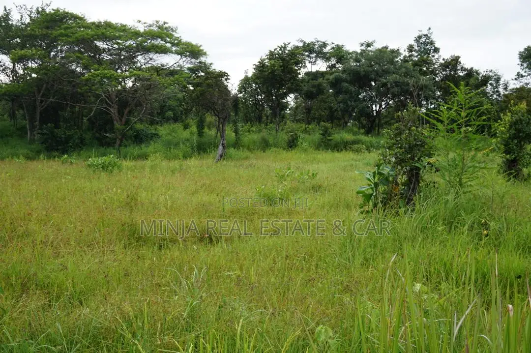 Invest in Rice Farm 130 Acres at Ruvuma Madala. in Mateka