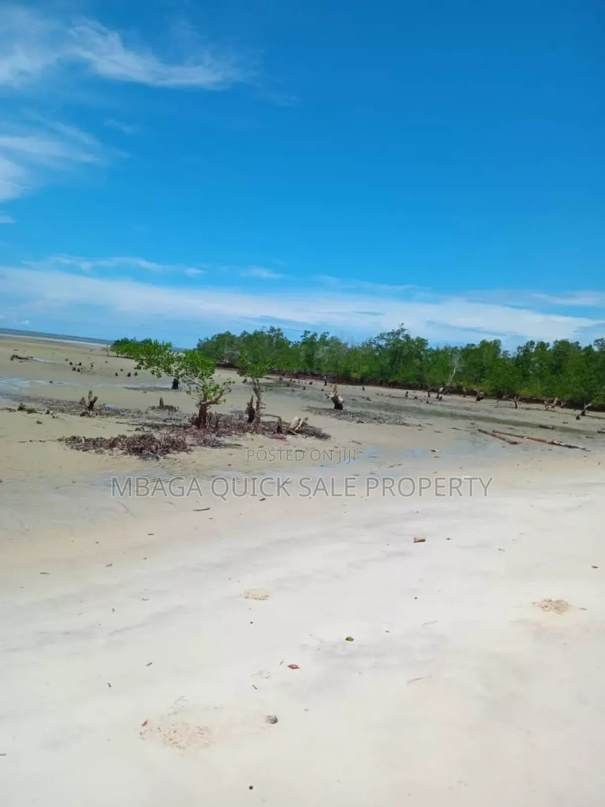 Beach Plot for Sale at Tanga Pangani Near Kipumbwi Port in Tanga City