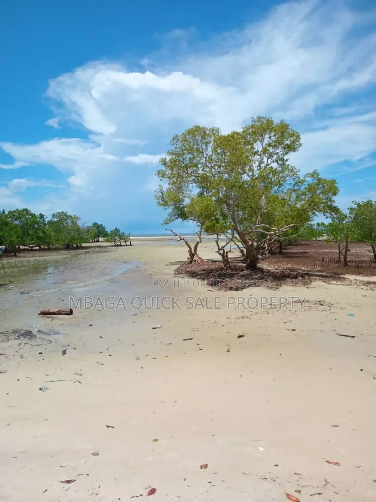 Beach Plot for Sale at Tanga Pangani Near Kipumbwi Port in Tanga City