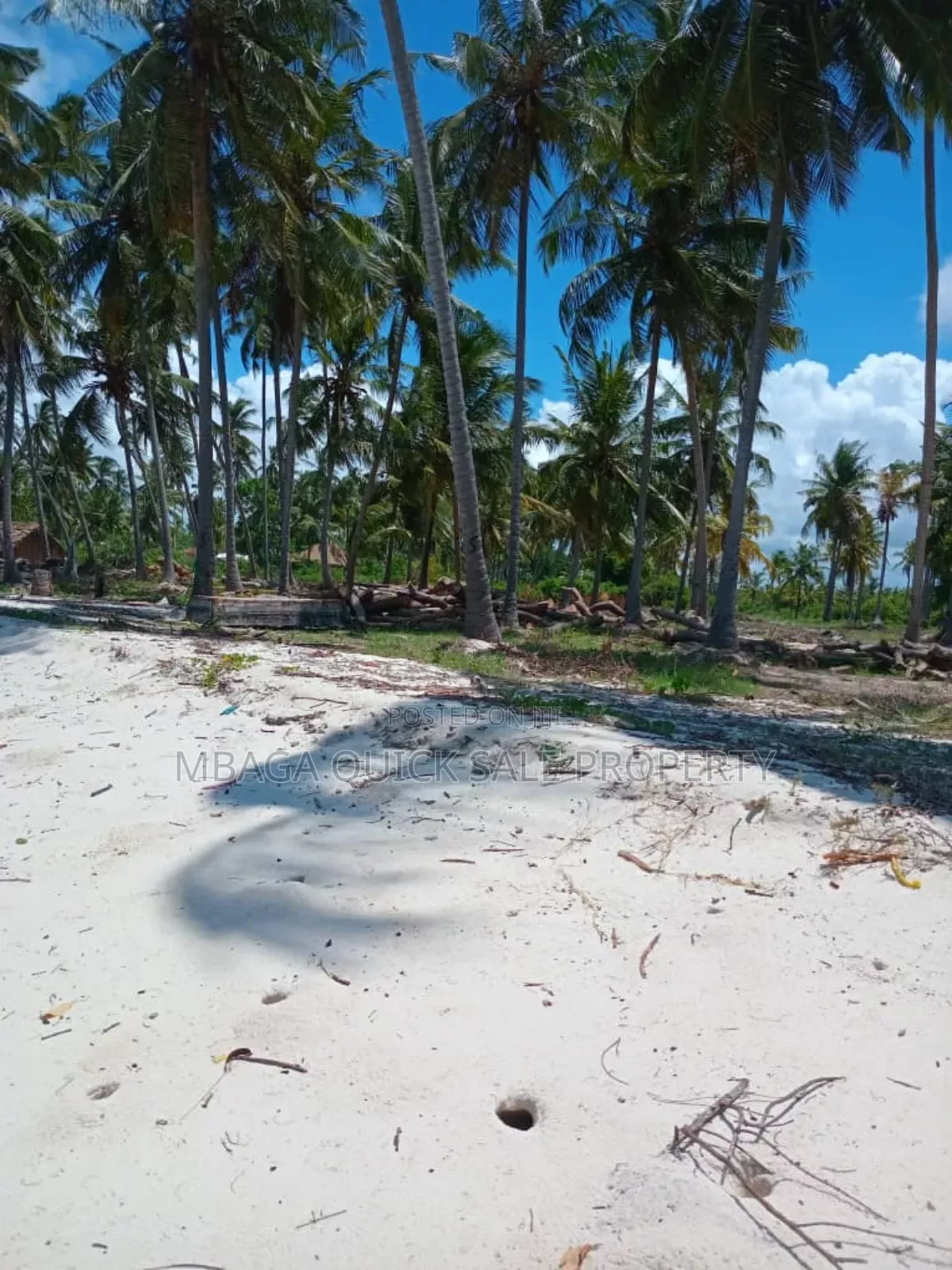 Beach Plot for Sale at Tanga Pangani Near Kipumbwi Port in Tanga City