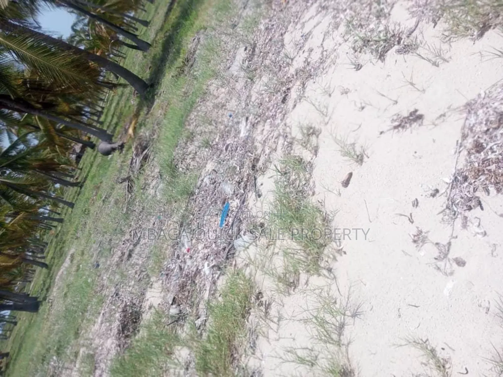 Beach Plot With 10 Acres for at Kilwa Masoko in Kilwa