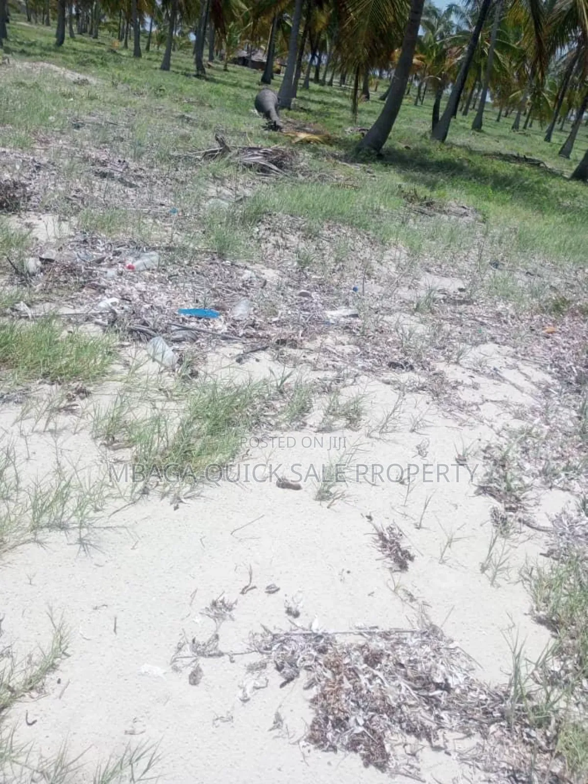 Beach Plot With 10 Acres for at Kilwa Masoko in Kilwa