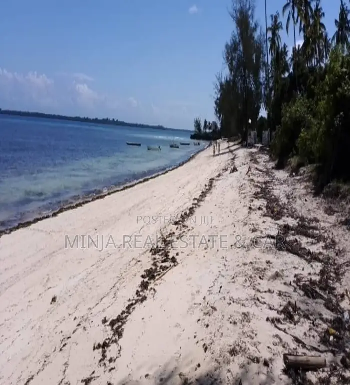 Beach Plot for Sale Kizimkazi Zanzibar in Kusini