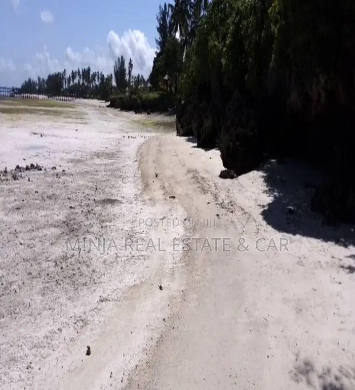 Beach Plot for Sale Kizimkazi Zanzibar in Kusini