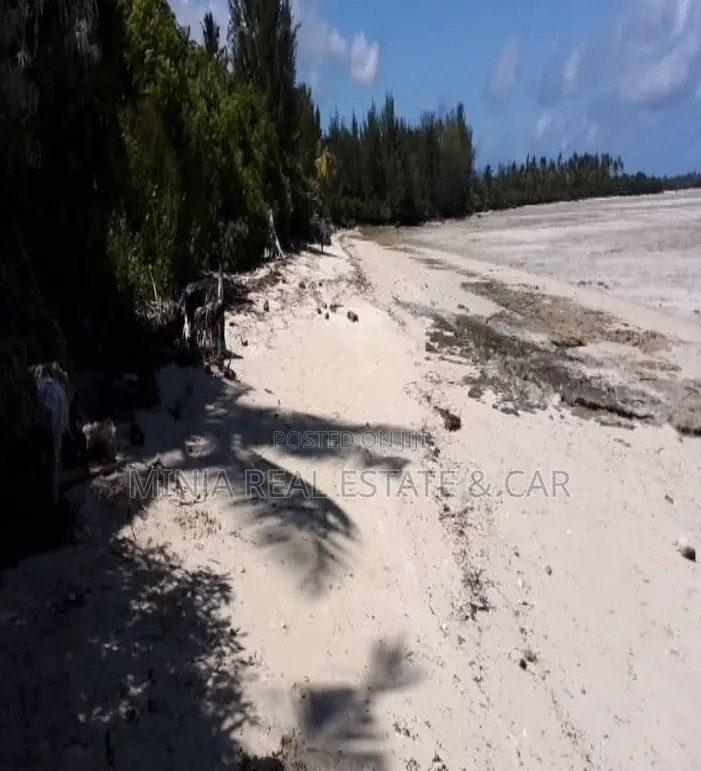Beach Plot for Sale Kizimkazi Zanzibar in Kusini