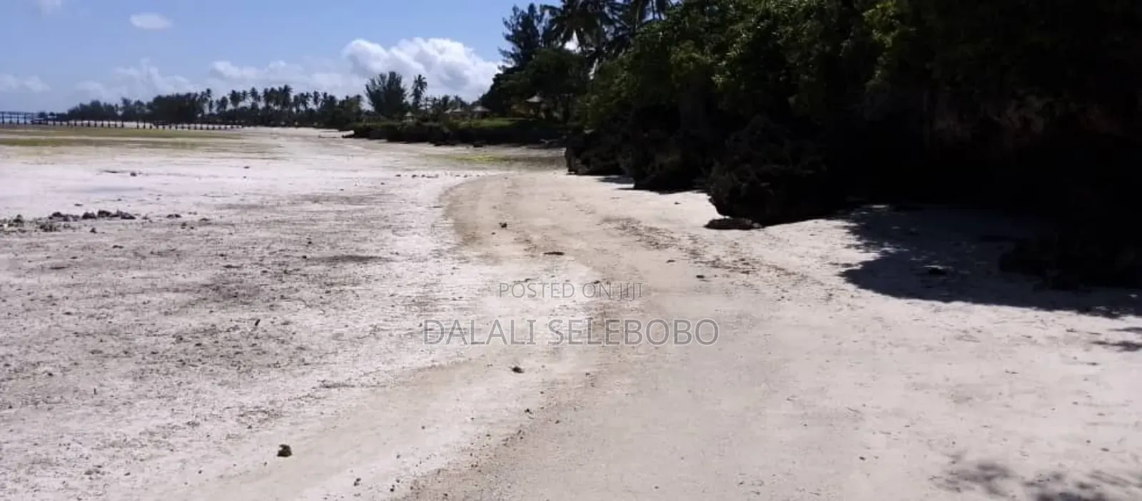 Beach Plot at Zenji Kizimkazi in Unguja North
