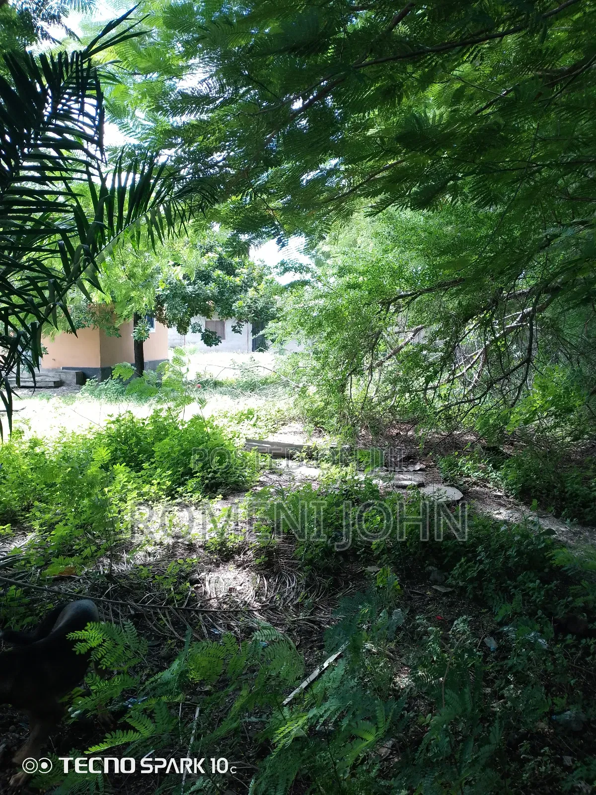Eneo La Kibiashara+ Nyumba Linauzwa Milioni 500 Mkolemba. in Ilala