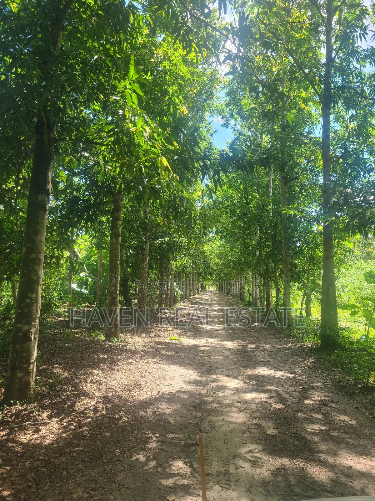 180 Acres Zinauzwa Mlandizi in Mlandizi