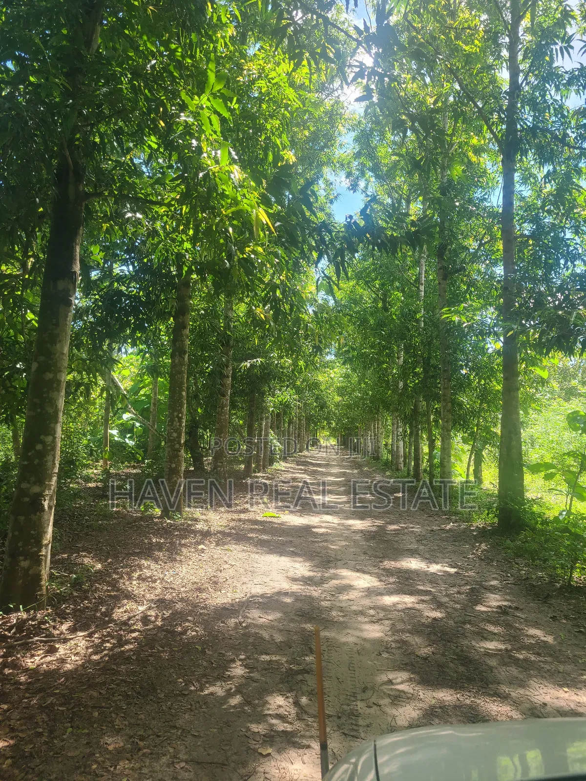 180 Acres Zinauzwa Mlandizi in Mlandizi