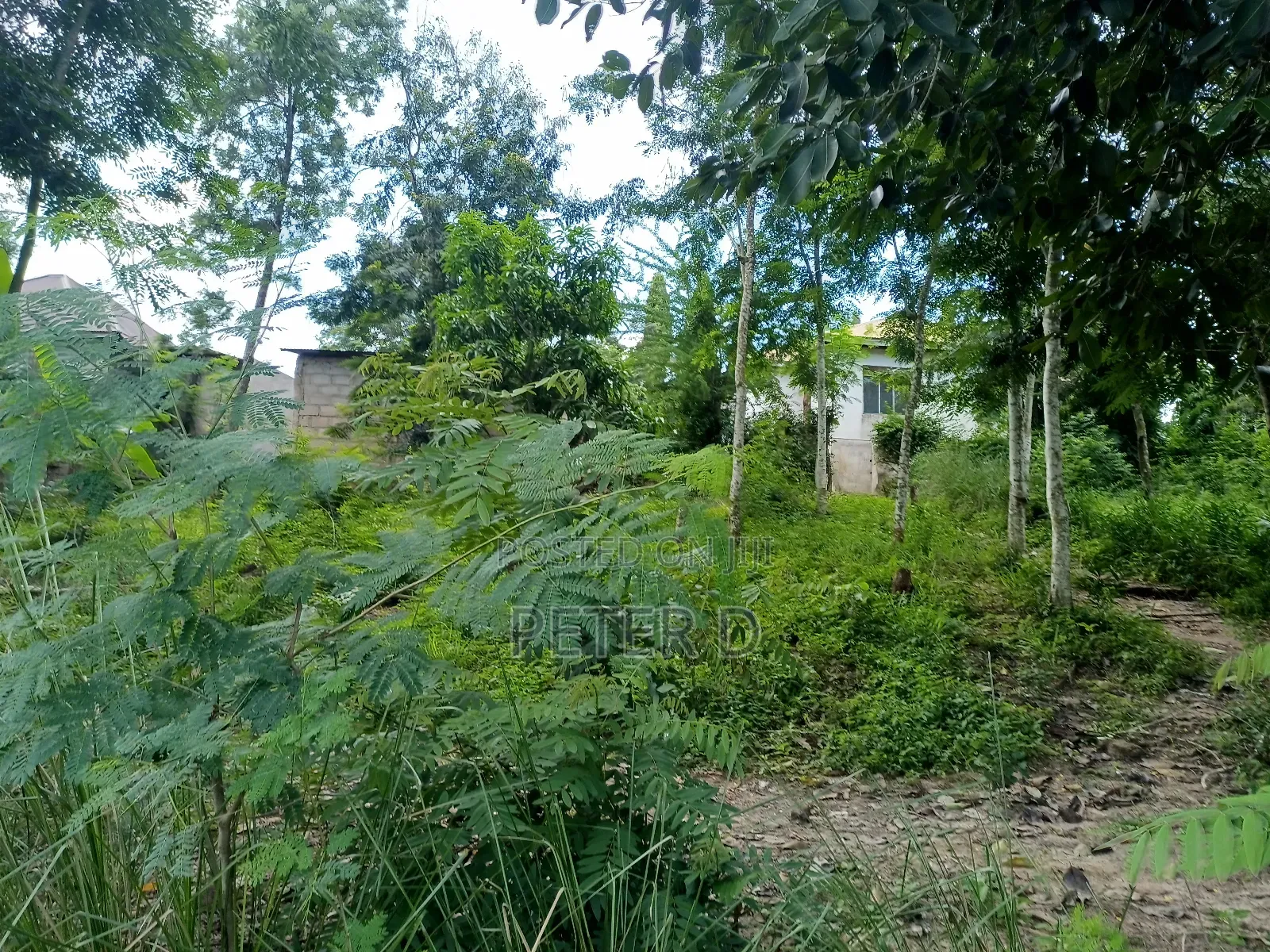 Kiwanja SQM 500 Mbezi Makabe Kanisa La Roma in Mbezi