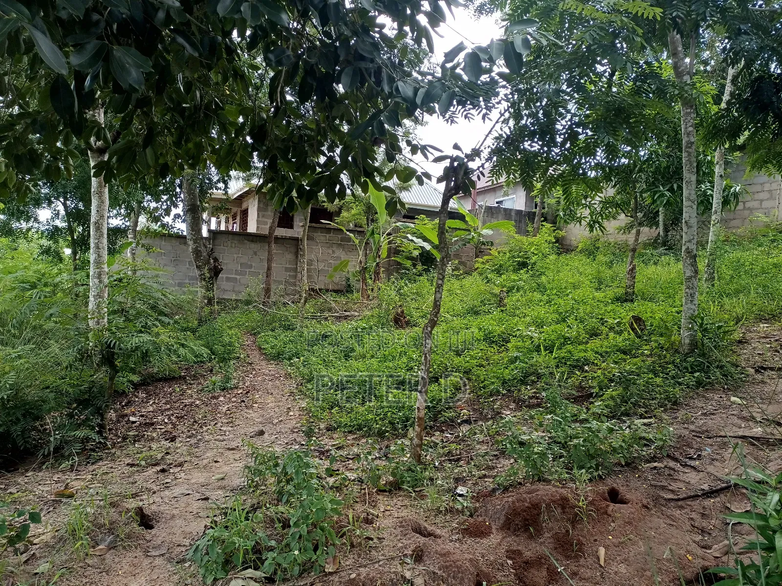 Kiwanja SQM 500 Mbezi Makabe Kanisa La Roma in Mbezi