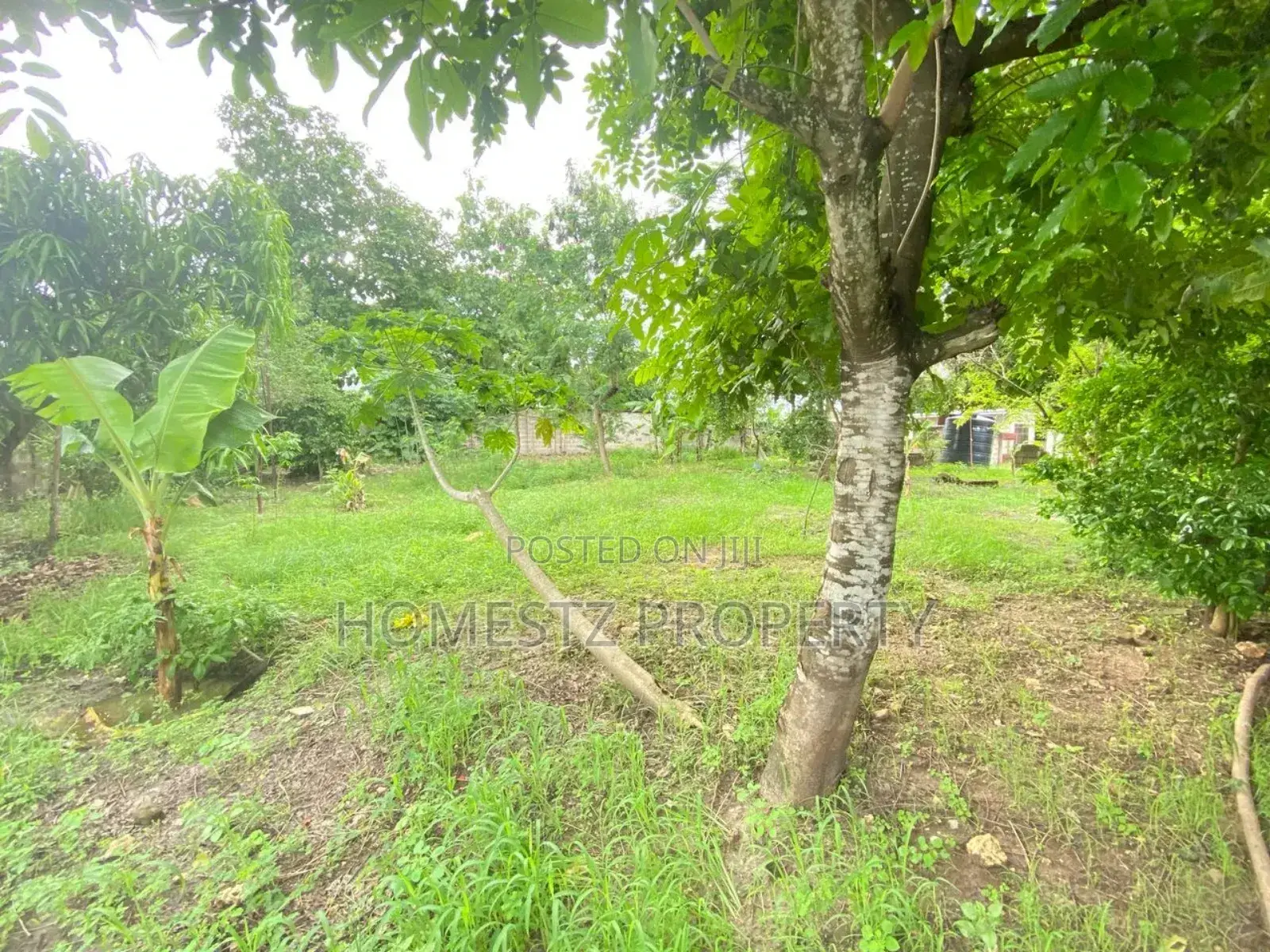 3bdrm House in Goba Lastanza, Kinondoni for sale in Kinondoni