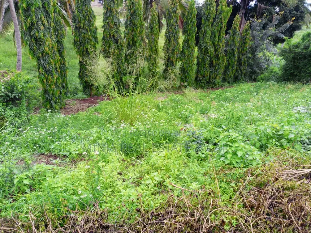 Kiwanja Kinauzwa Mbezi Msakuzi in Mbezi