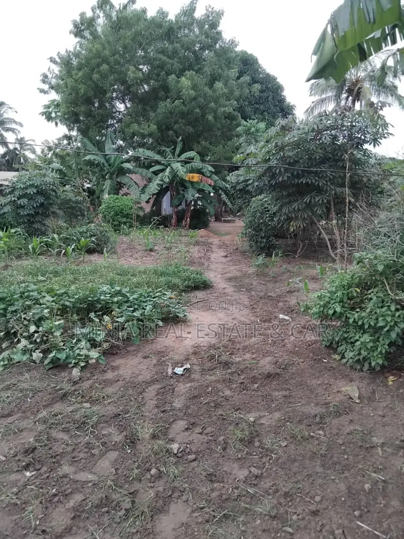 Plot for Sale Kibaha Kongowe in Maili Mmoja