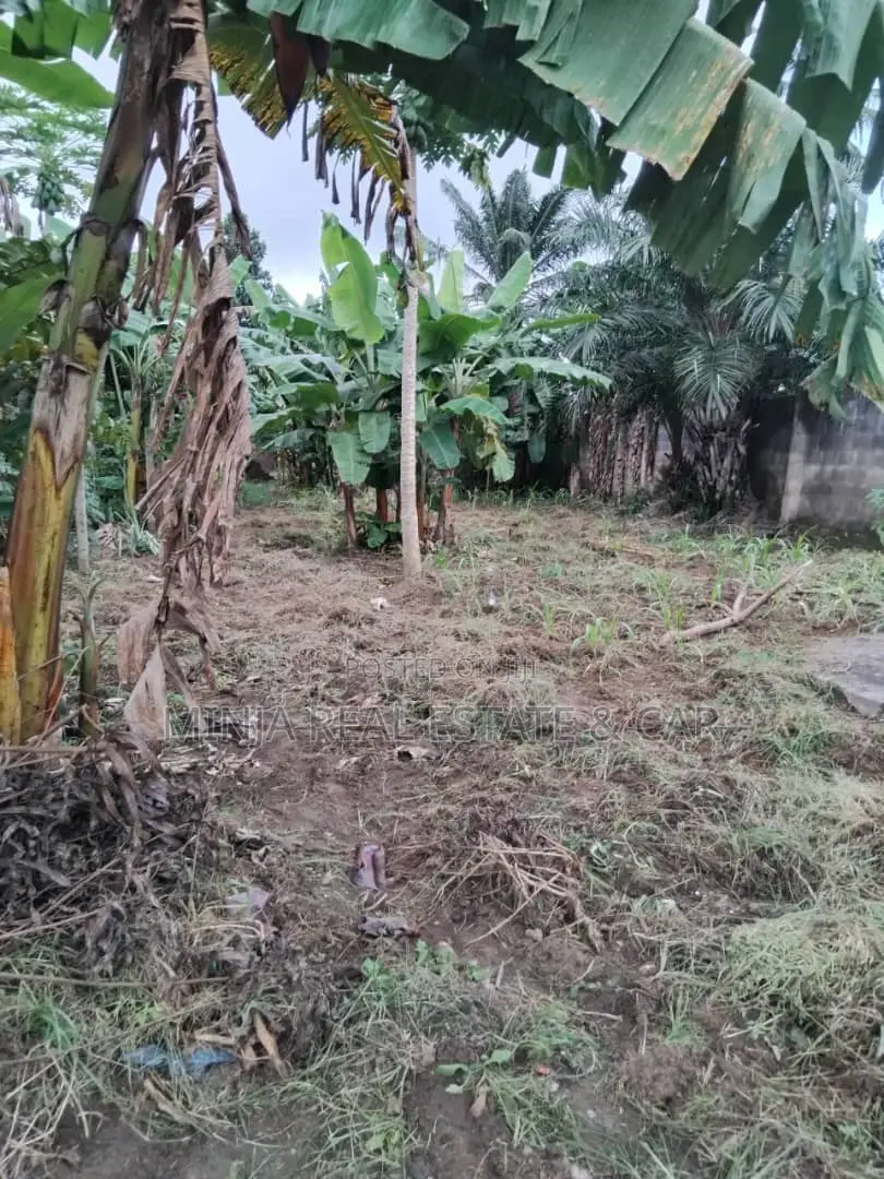 Plot for Sale Kibaha Kongowe in Maili Mmoja