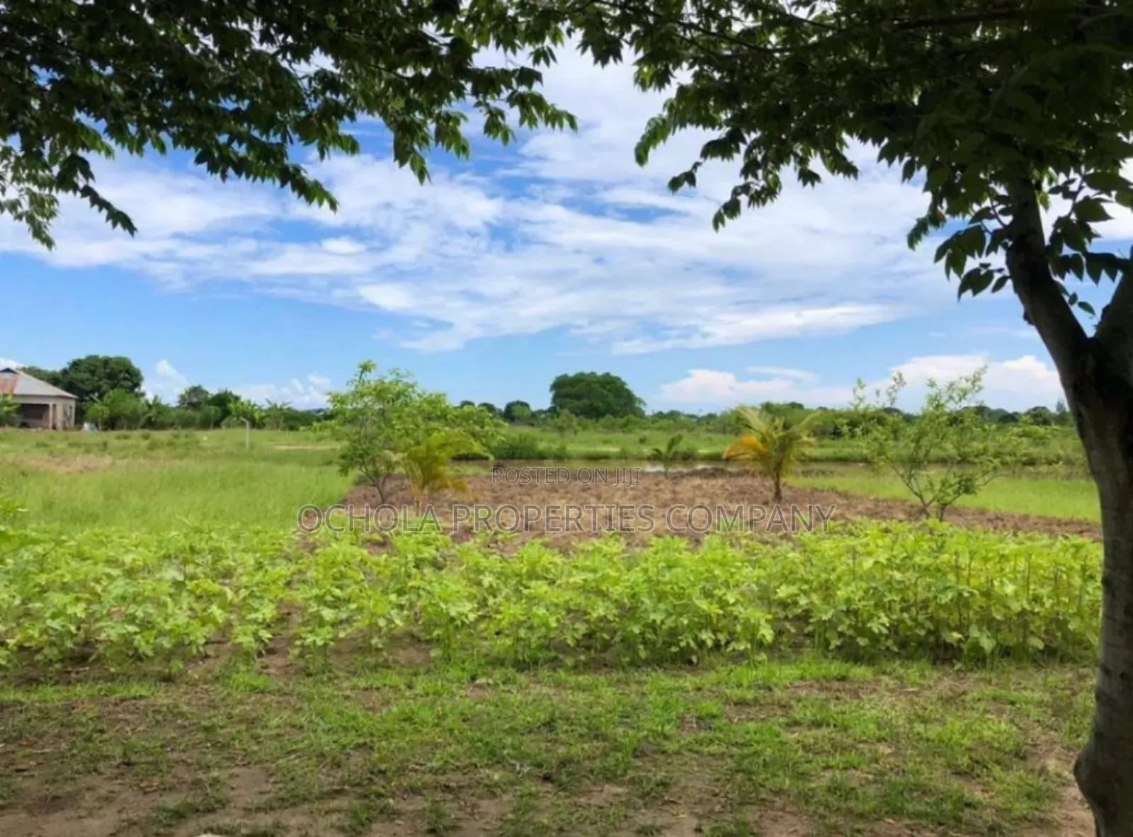Plot for Sale Bagamoyo Sanzale Mizani in Bagamoyo