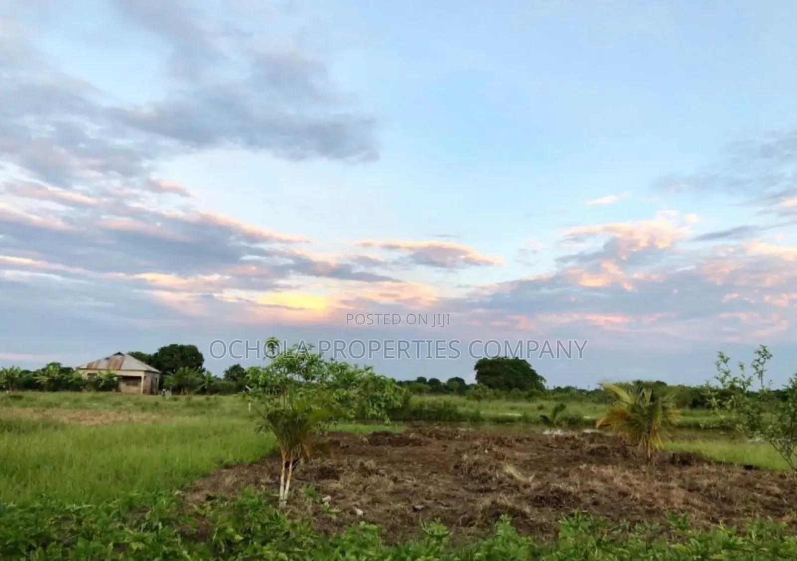 Plot for Sale Bagamoyo Sanzale Mizani in Bagamoyo
