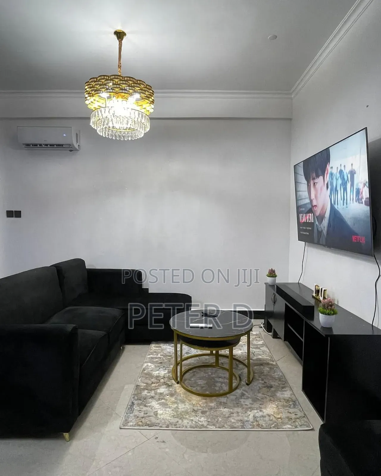 Furnished 1bdrm Apartment in Oyster Bay for rent in Oyster Bay