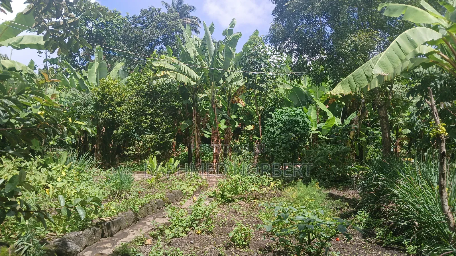 3bdrm House in Tanzania Realestates, Arusha for sale in Arusha