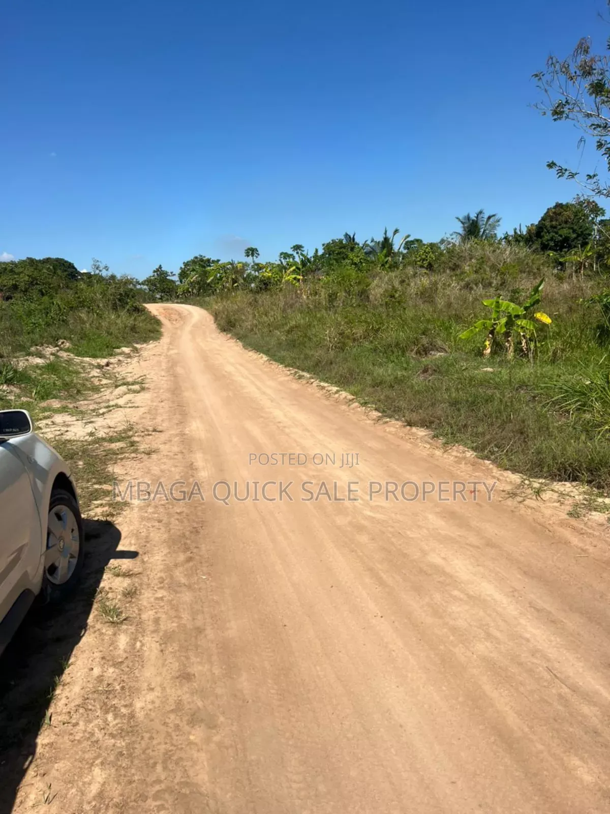 10 Acres Farm for Sale at Mkuranga TSH 270,000,000 in Mkuranga