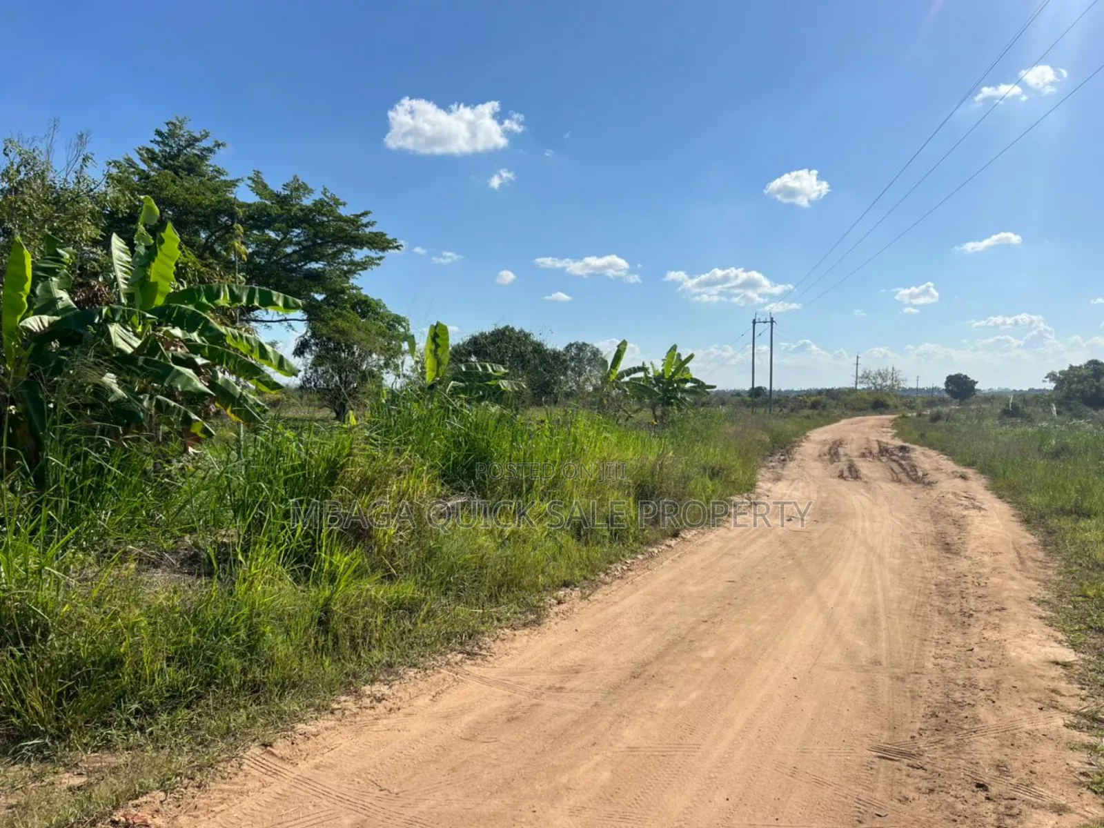 10 Acres Farm for Sale at Mkuranga TSH 270,000,000 in Mkuranga