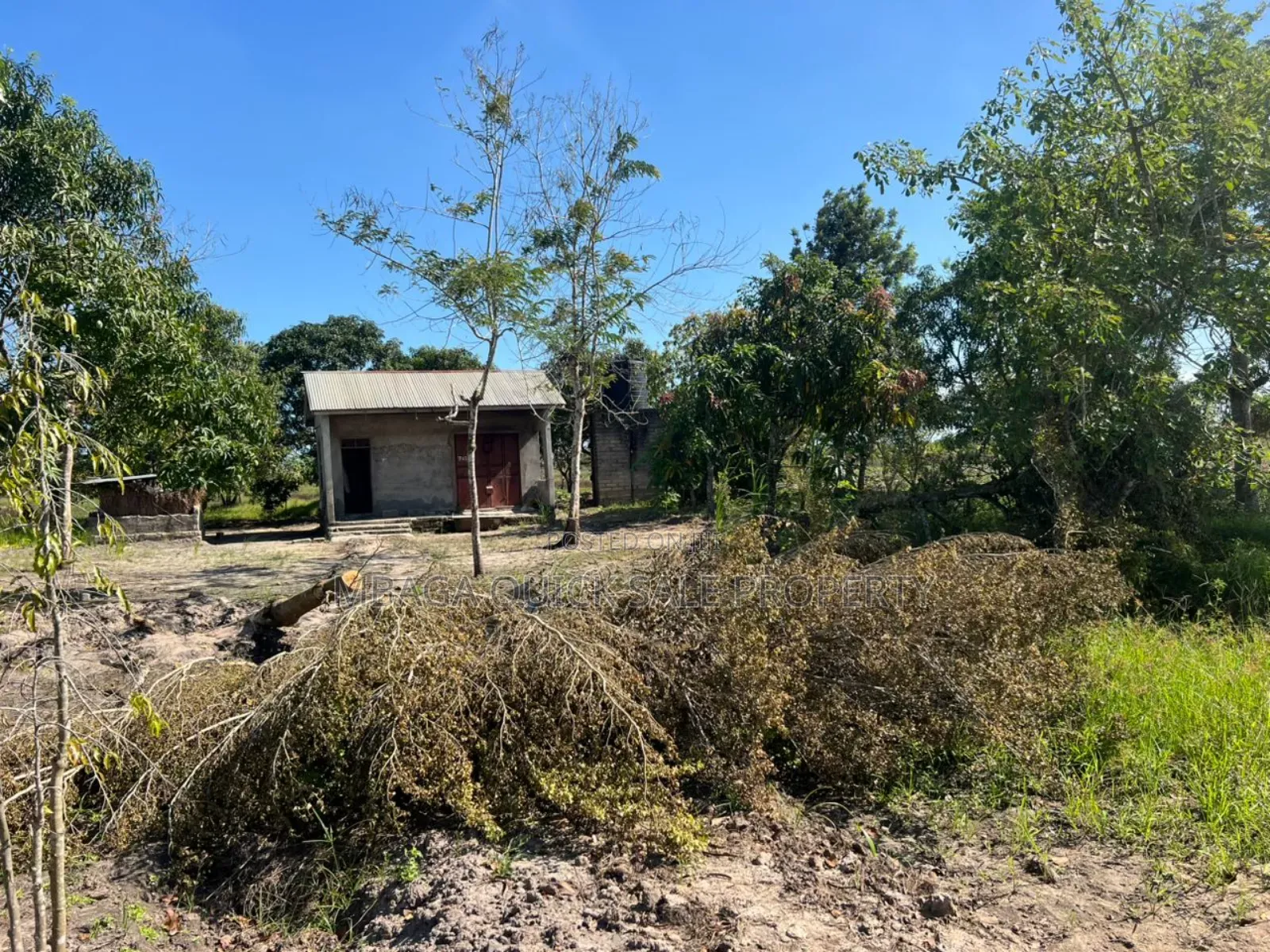 10 Acres Farm for Sale at Mkuranga TSH 270,000,000 in Mkuranga
