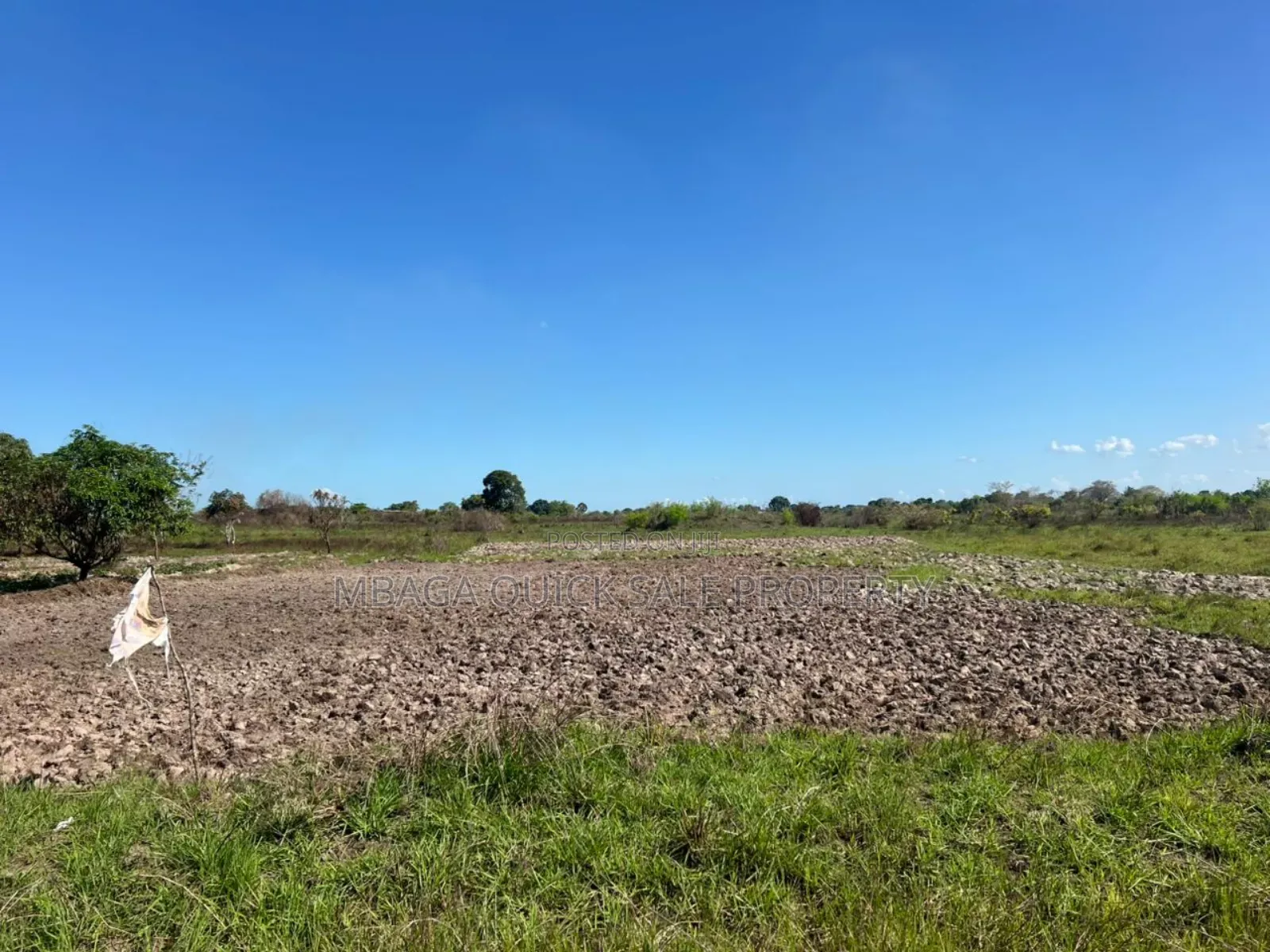 10 Acres Farm for Sale at Mkuranga TSH 270,000,000 in Mkuranga