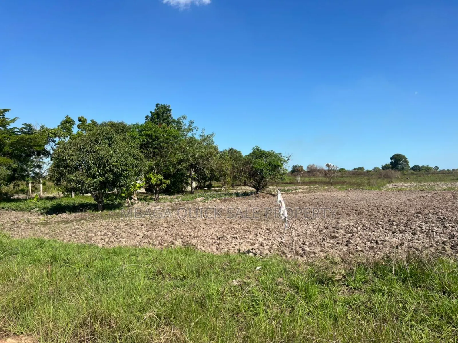 10 Acres Farm for Sale at Mkuranga TSH 270,000,000 in Mkuranga