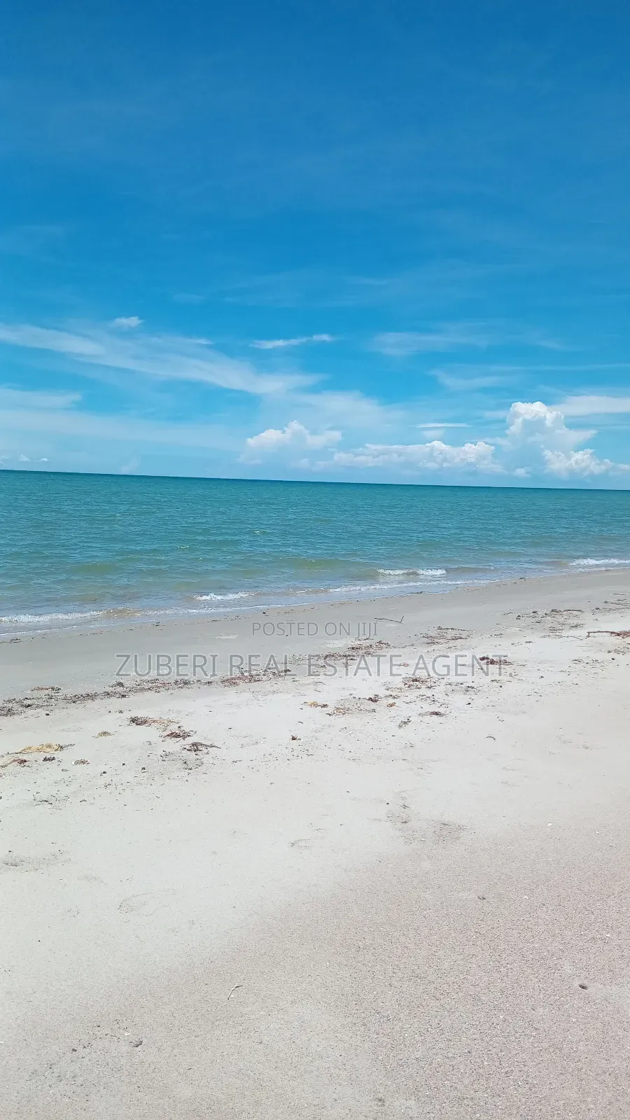 Mafui Near Saadani Park Beach Plot on Sale. in Mkwaja