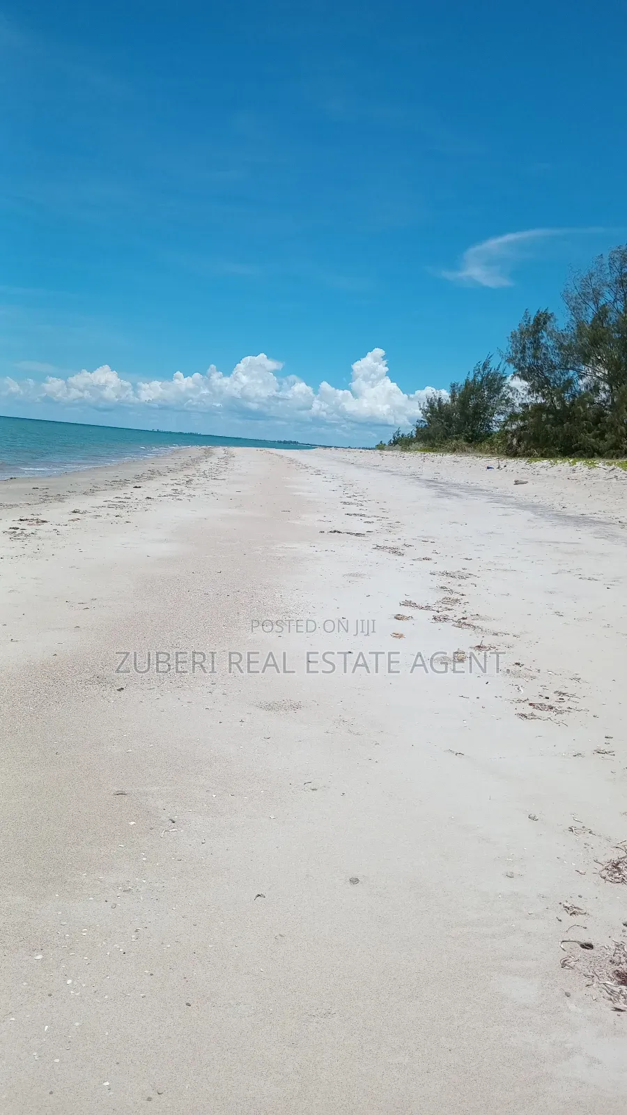 Mafui Near Saadani Park Beach Plot on Sale. in Mkwaja