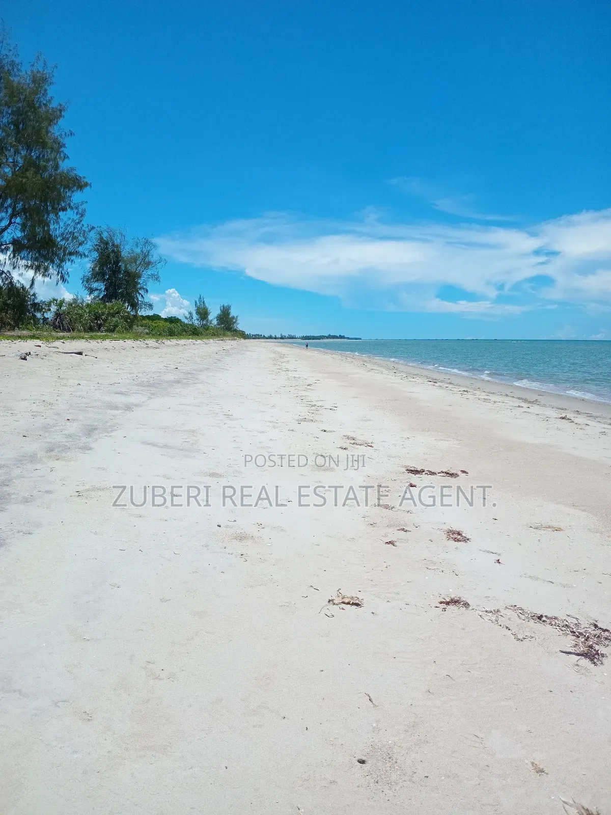 Mafui Near Saadani Park Beach Plot on Sale. in Mkwaja