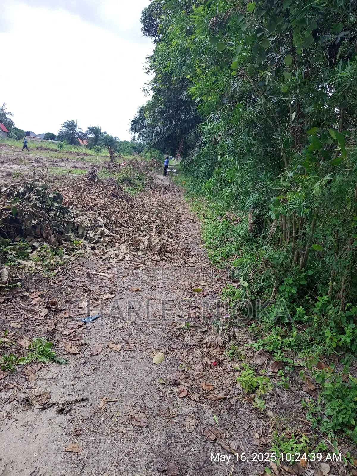 Kiwanja Sqmita 225 Kinauzwa Milion 6.5 Majohe Rada in Ukonga