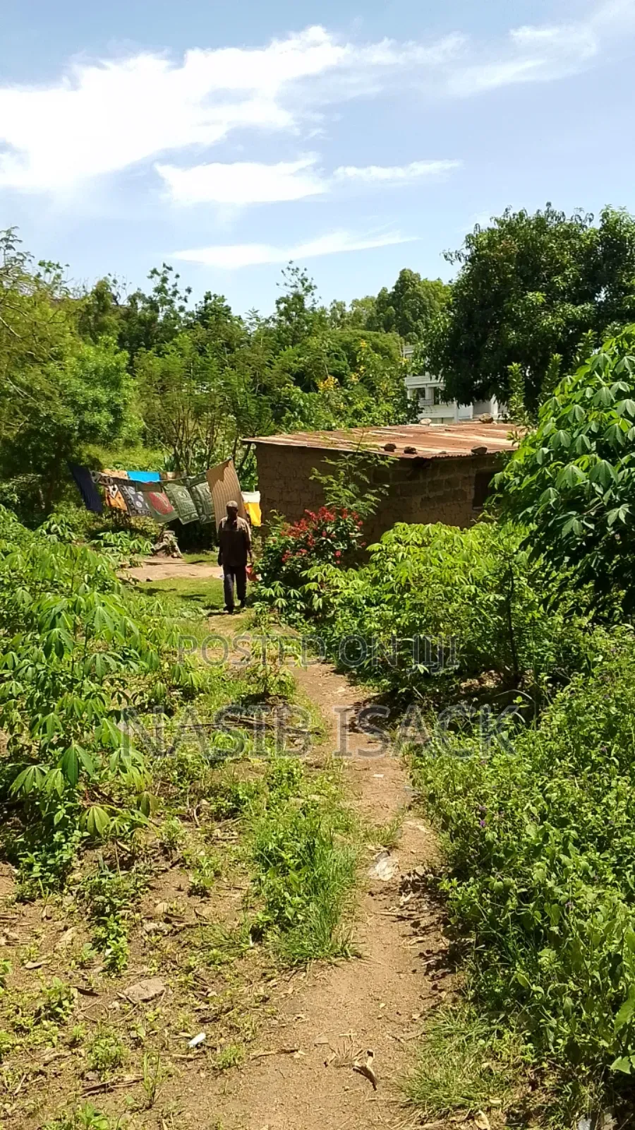 Land for Sale in Ilemela Ward