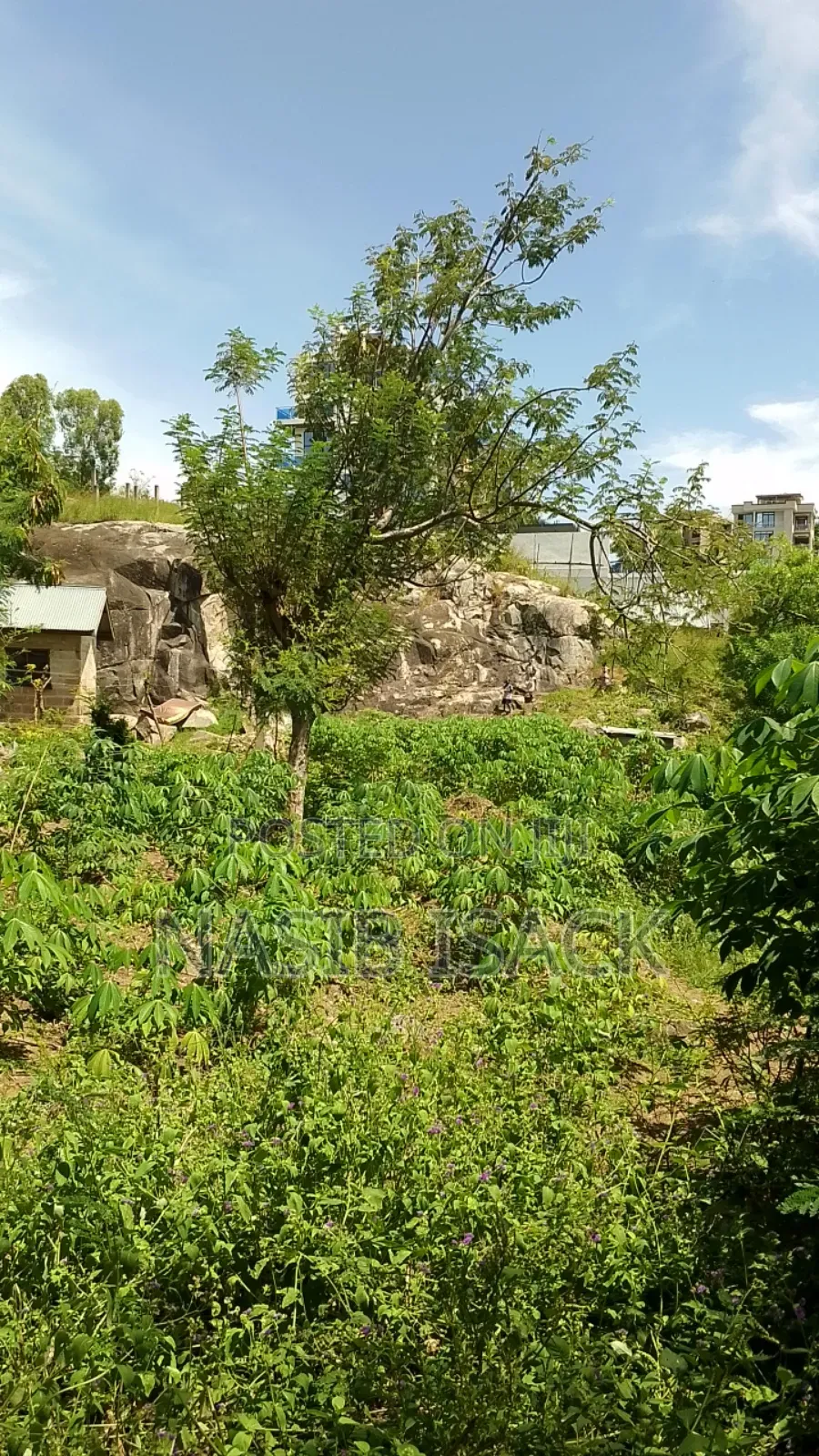 Land for Sale in Ilemela Ward