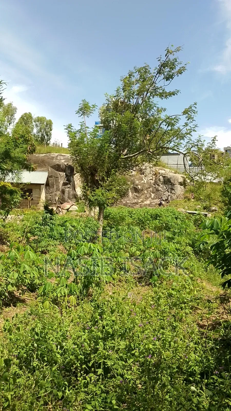 Land for Sale in Ilemela Ward