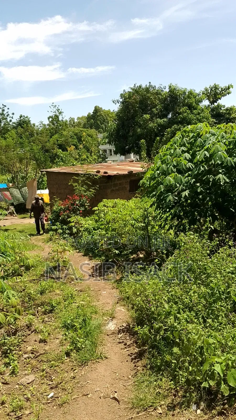 Land for Sale in Ilemela Ward