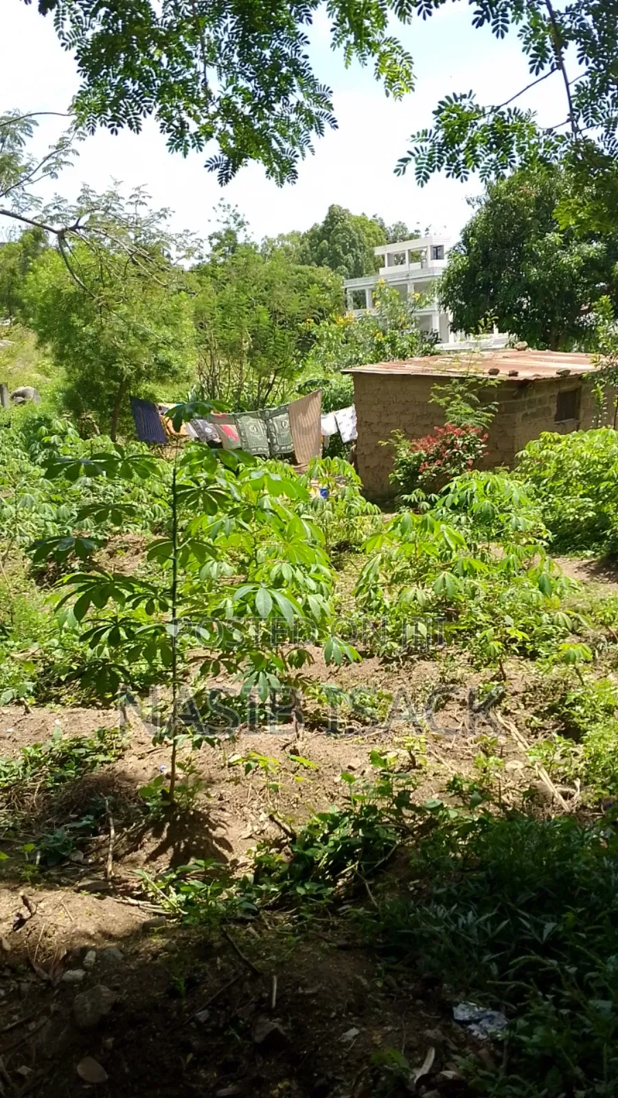 Land for Sale in Ilemela Ward