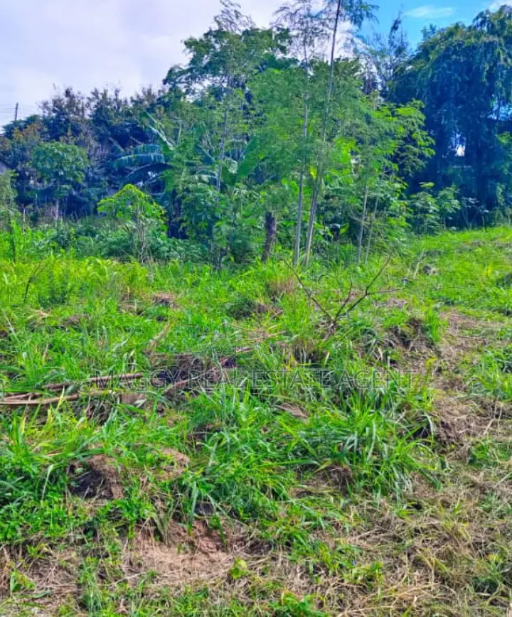 739 SQMTS Plot in Kigamboni in Kigamboni