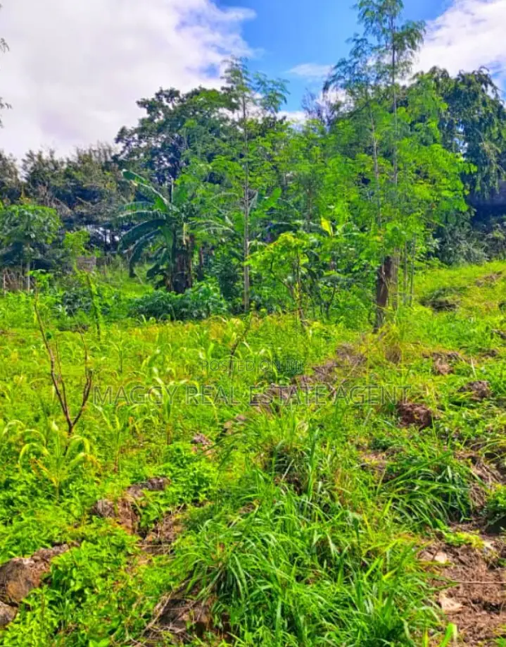 739 SQMTS Plot in Kigamboni in Kigamboni