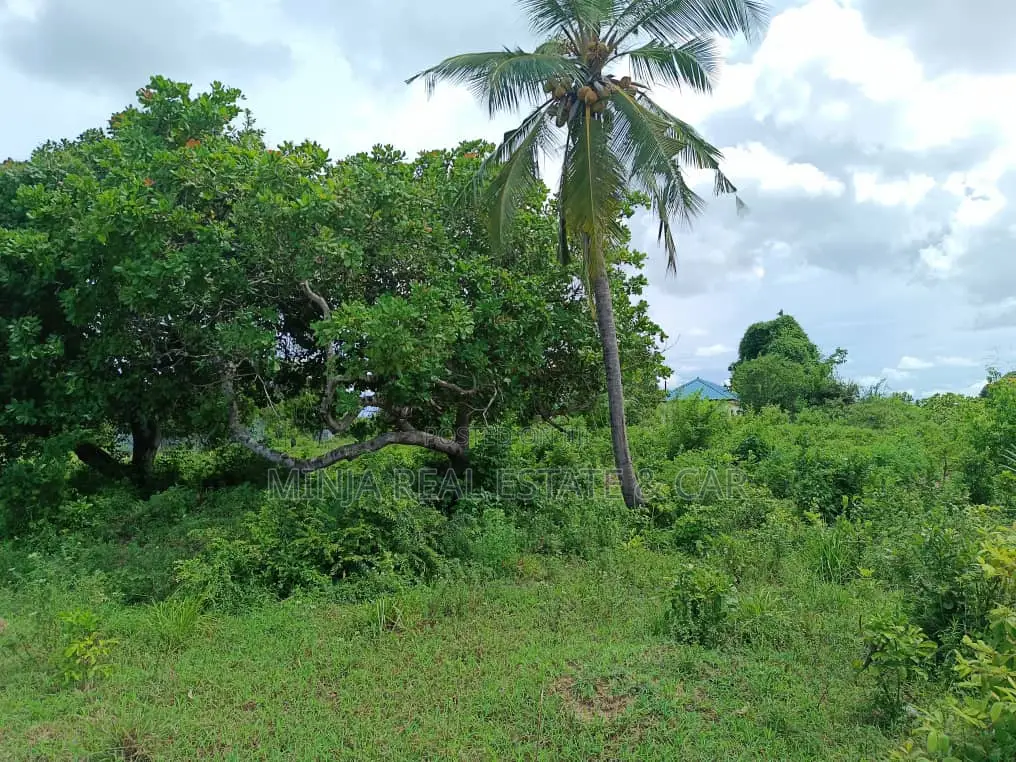 Shamba (Farm) for Sale Fukayosi Bagamoyo Pwani Region in Kiwangwa