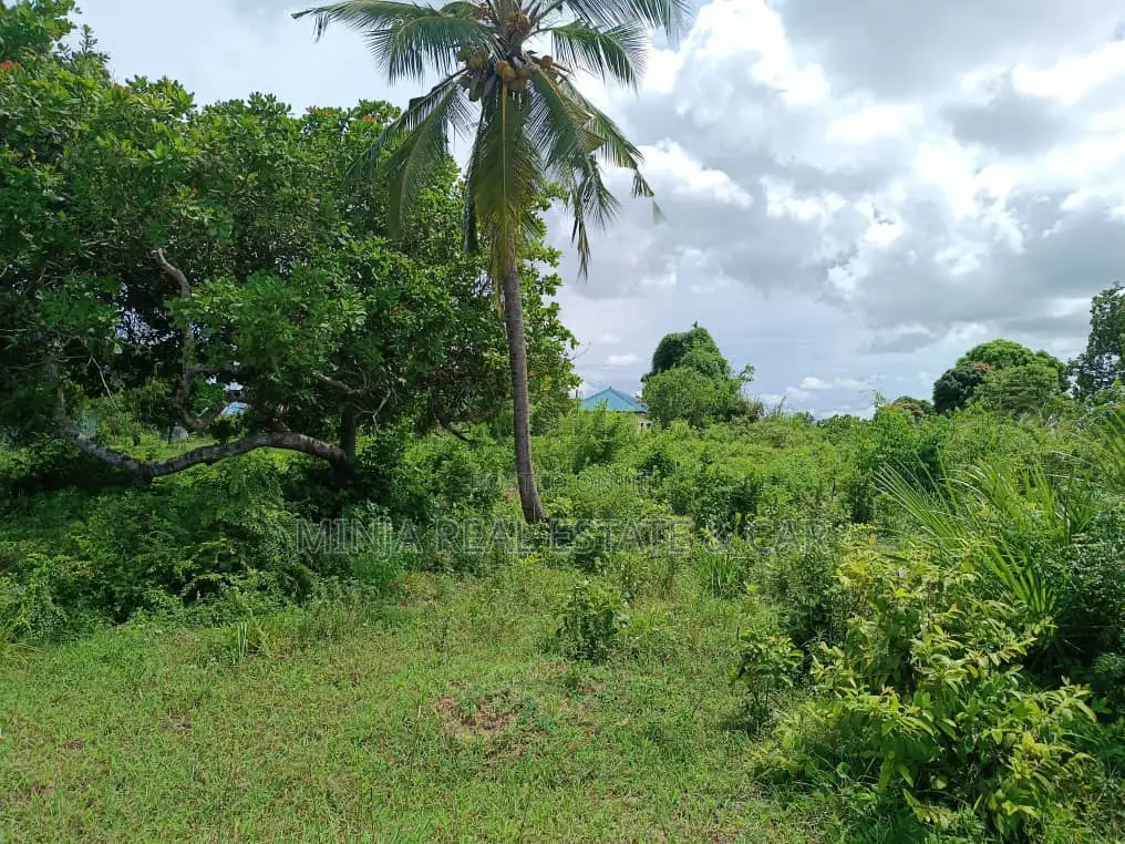 Shamba (Farm) for Sale Fukayosi Bagamoyo Pwani Region in Kiwangwa