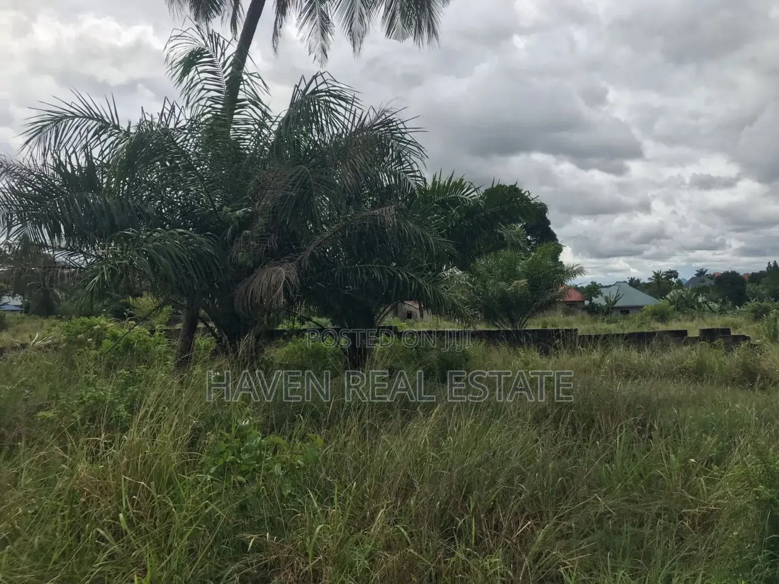 4 Acres Eneo La Viwanda Linauzwa Chanika in Chanika