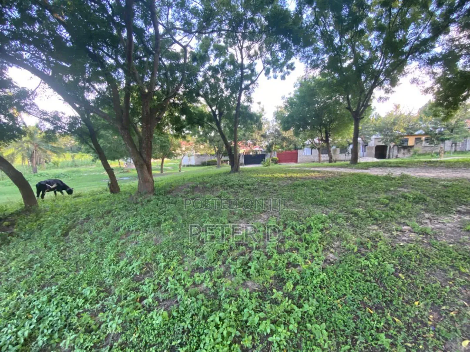 Viwanja SQM 1,117 Kimara Temboni in Tabata