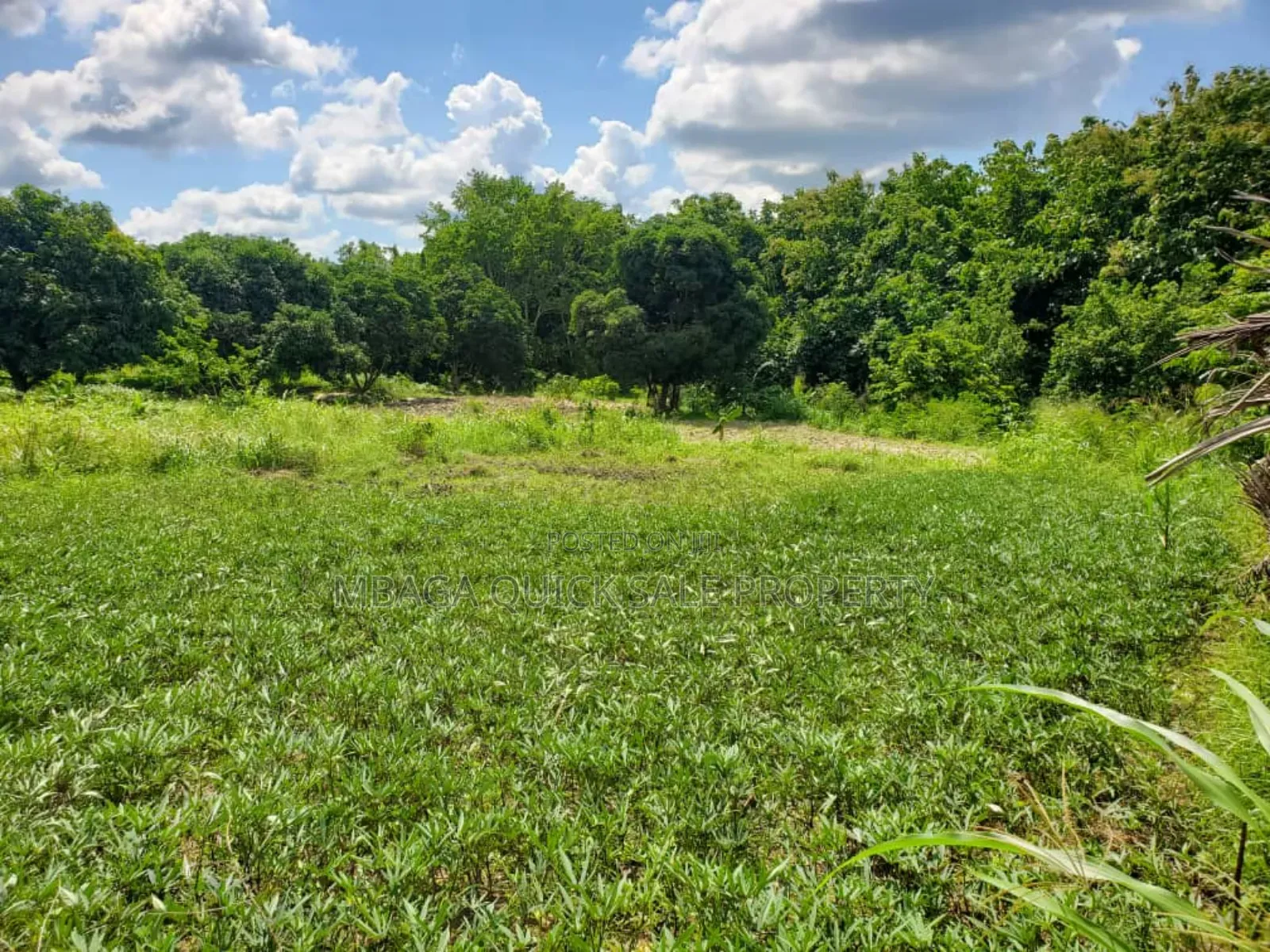 Plot for Sale at Kiluvya in Kiluvya