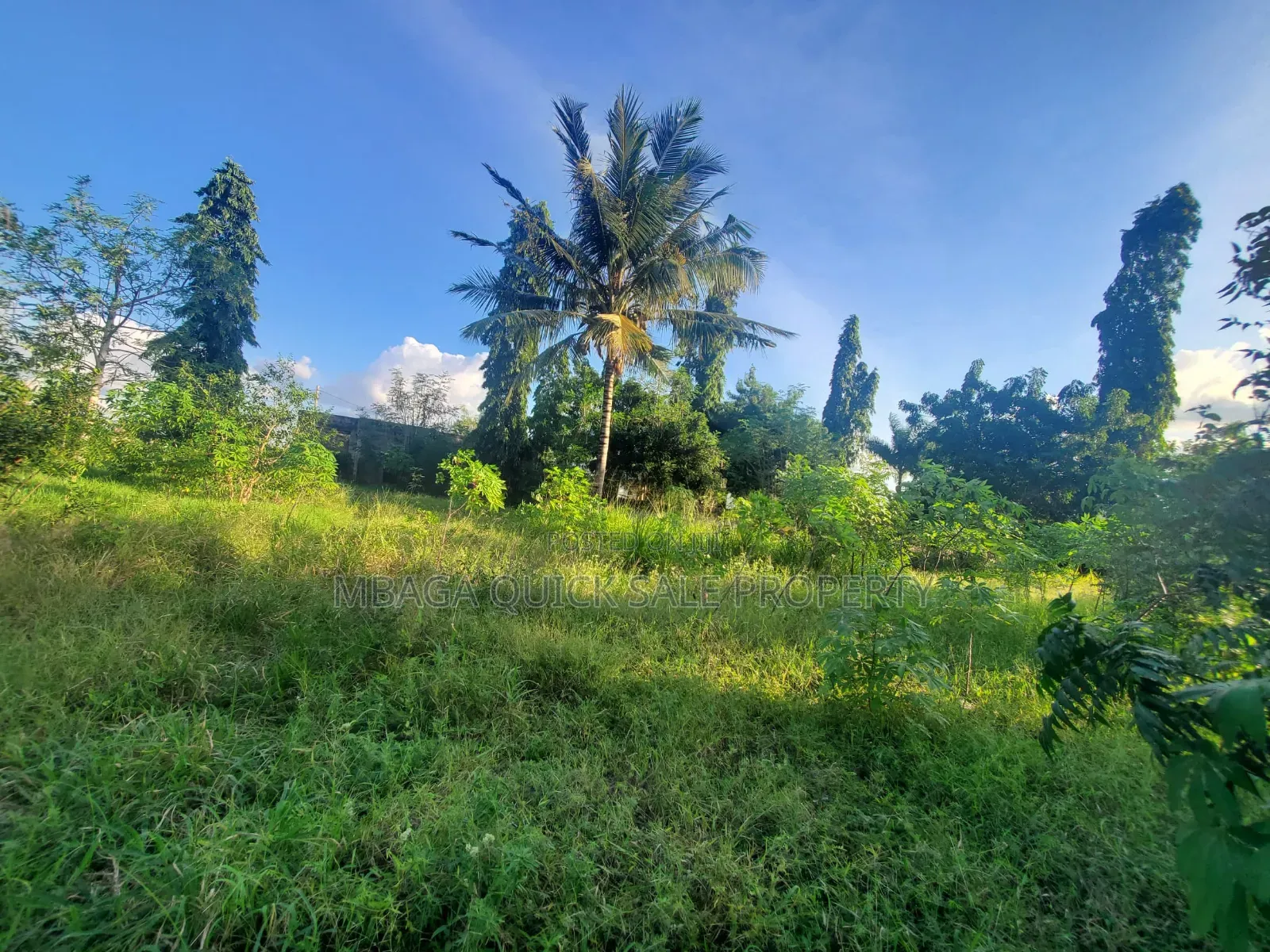 Plot for Sale at Madale Mivumoni in Goba