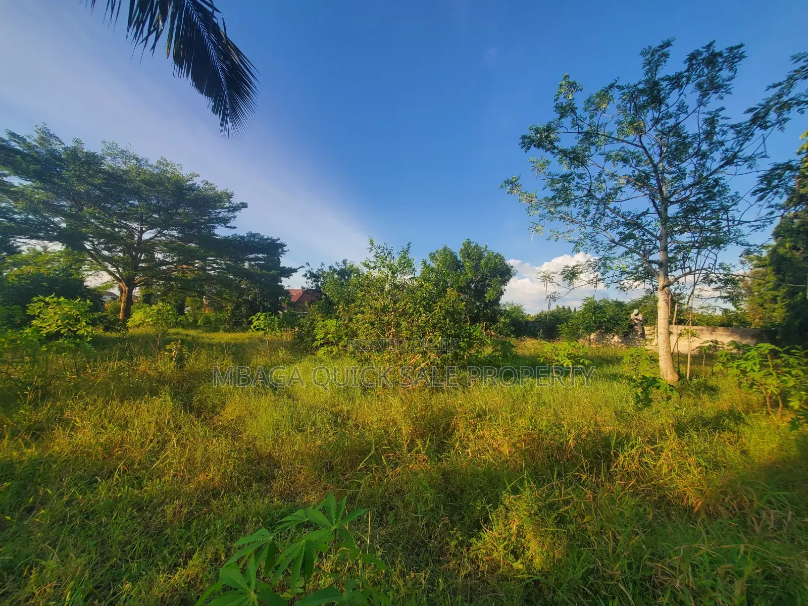 Plot for Sale at Madale Mivumoni in Goba
