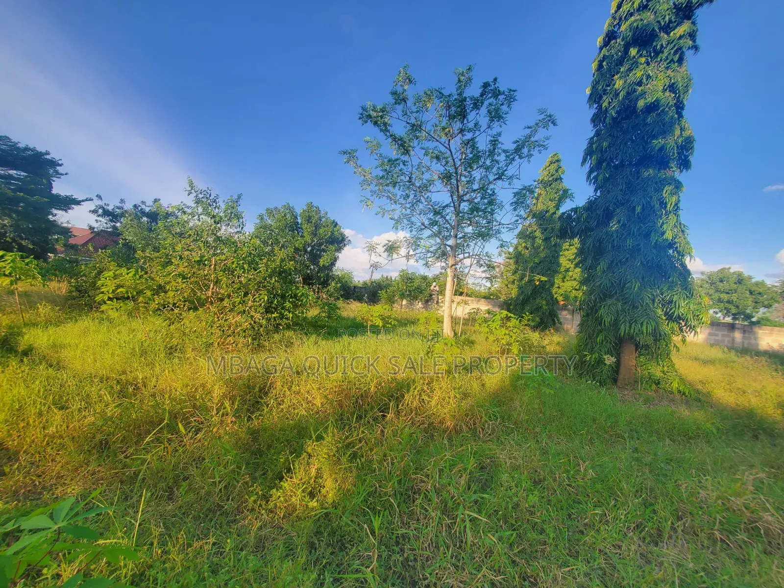 Plot for Sale at Madale Mivumoni in Goba