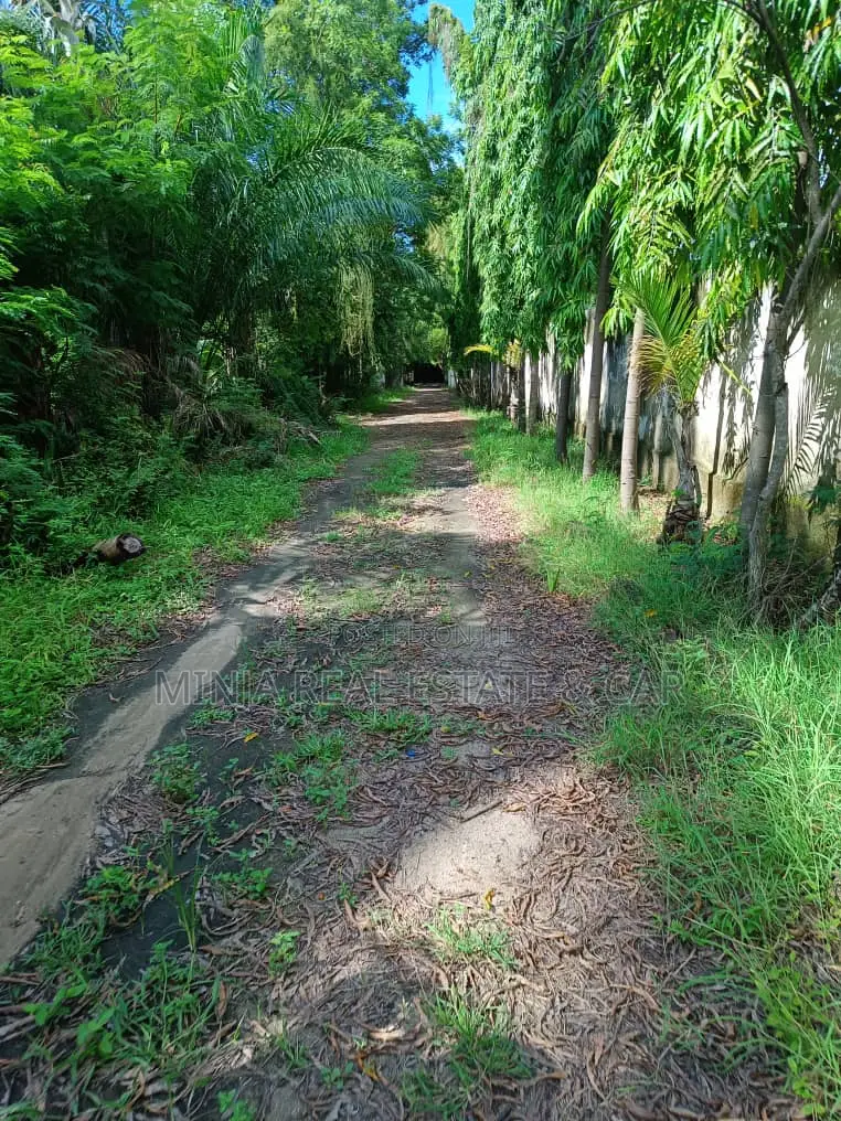 Plot for Sale Mikocheni Beach in Mikocheni